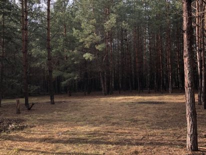 Продам земельну ділянку в лісі. 1600$ Бровары