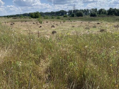 Земельна ділянка. Хмельницький