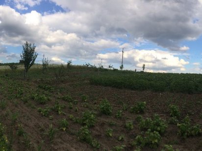 Ділянка під забудову, Західно-окружна, район костелу Хмельницкий