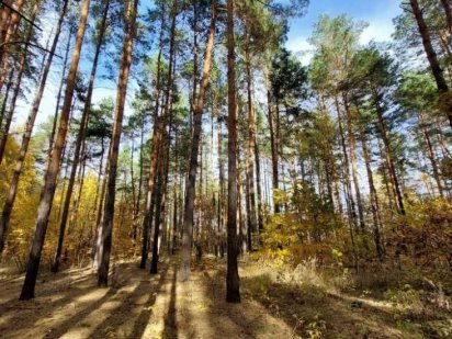 Земля під комерцію. Фасад Варшавки Буча