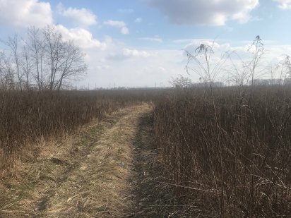 Продається земельна ділянка  2га, промка в м. Бровари Бровари