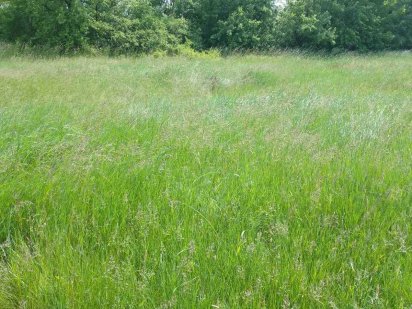 Продам земельный участок 6 в Кременчуге Реевка Кременчук