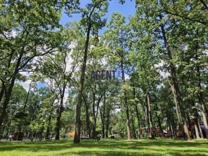 Продаж земельної ділянки під забудову біля лісу