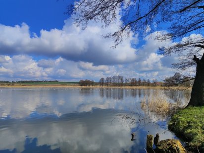 Земельна ділянка поблизу водойми! Луцк