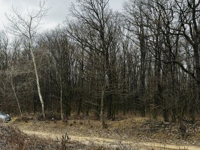 Ділянка з виходом до лісу біля зупинки Хмельницький