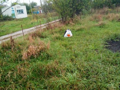 Дачна ділянка кооператив Райдуга Белая Церковь