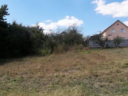 Земельна ділянка. Ружична.  8 -й Провулок  Верейского. ПРИВАТИЗОВАНО Хмельницький