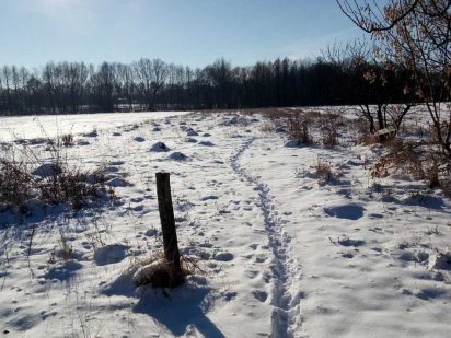 Продам участок , под застройку. Белая Церковь