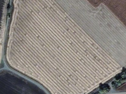 Земельна ділянка сільськогосподарського призначення Біла Церква