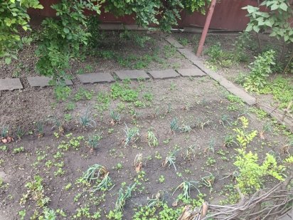 Продам дачный участок Кривий Ріг