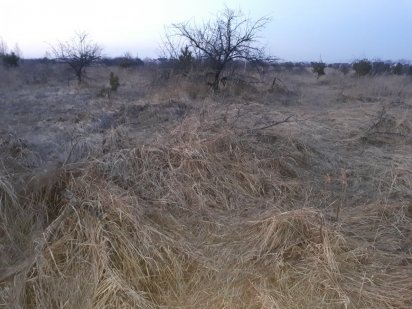 Продам ділянку, ТЕРМІНОВО Бориспіль