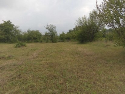 Дачна ділянка, 10 соток Хмельницький