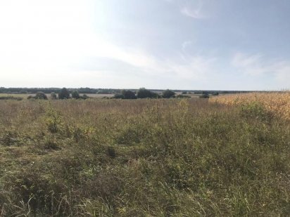 Продам земельну ділянку на дачному масиві Лаврів. 12 сот. Луцьк