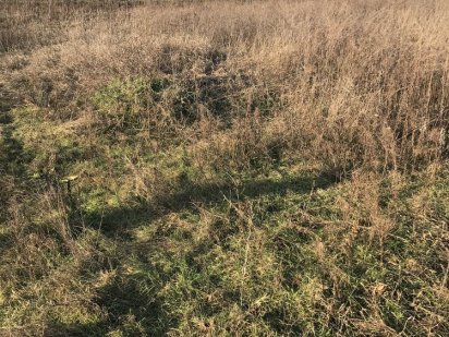 Продам земельну ділянку Сухий Яр