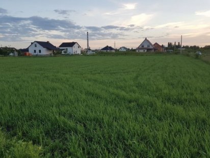 Продам земельну ділянку в Рованцях 29сот, можливий обмін Луцьк