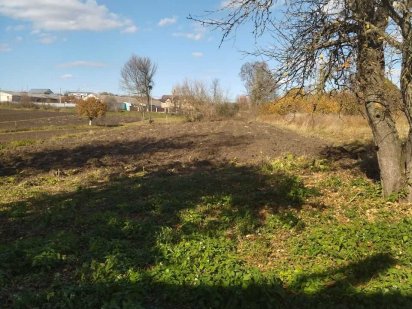 Земельна ділянка Ружичанка вул Центральна Хмельницький