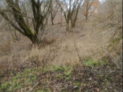 Продаж земельної ділянки 6 сот