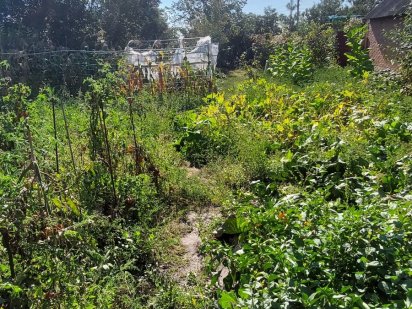 Продам земельну ділянку івана кожедуба