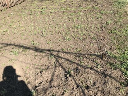 Дачний участок Кривий Ріг