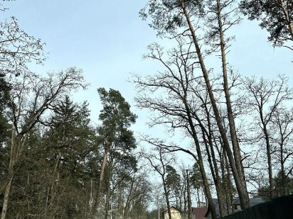 Продаж ділянки  24 сотки