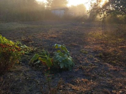 Продається дача Чепеліївка Белая Церковь