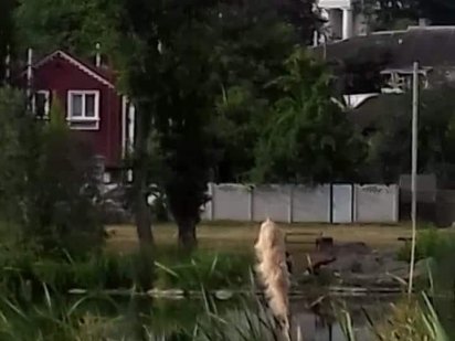 Ділянка під будівництво