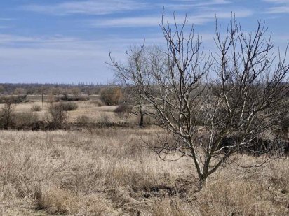 Продам дачу з кунгом! Полтава