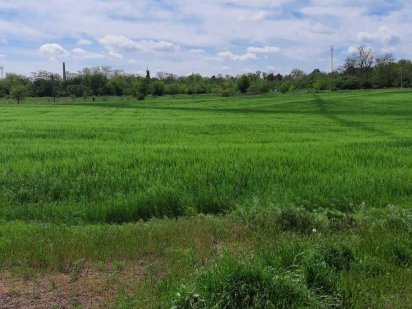 Участок для ведения личных крестьянских хозяйств Кривий Ріг