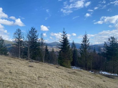 Земельна ділянка в Микуличині Ивано-Франковск