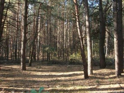 Земельный участок на Каневском водохранилище Переяслав