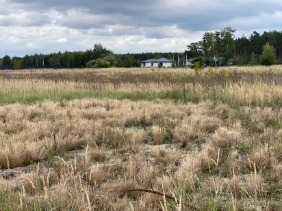 Ділянка в Бучі під будівництво 7700$ за сотку