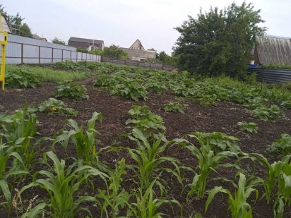 Продам участок срочно. Переяслав-Хмельницький