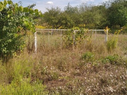 Продам земельну ділянку в Рибцях Полтава