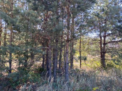 Ірпінь продаж земельної ділянки Ірпінь