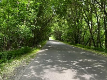 20 сот. в красивому місті біля лісу. Бориспіль