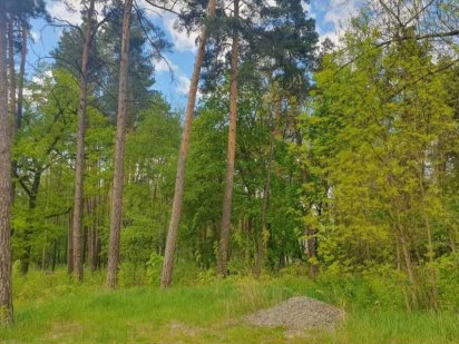 Земельна ділянка під комерцію