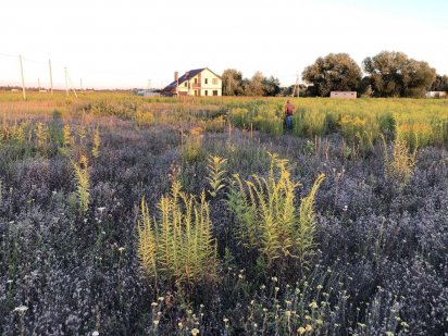 Участок под застройку Бориспіль