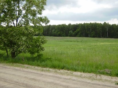 Земля під забудову в екологічно чистому місці біля лісу Рівне