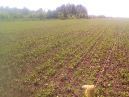 Земельный участок пай Полтава