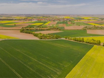 Дялянка 7га, чорнозем, торф Ровно