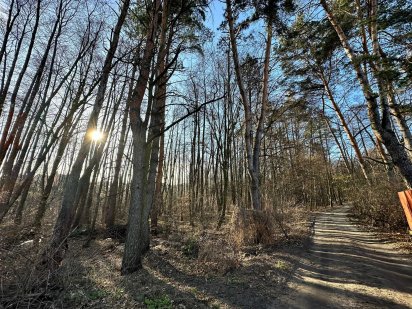 Продаж земельної ділянки із власним виходом в ліс в Ірпені (стоянка 2) Ирпень