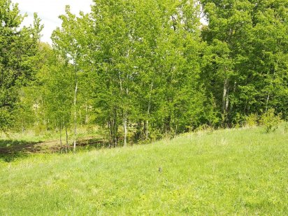 Земельна ділянка під забудову м. Полтава біля гіпермаркету "Епіцентр", Полтава