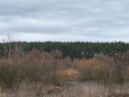 Ділянки під забудову! Кінець Ірпіня ! По 10 сот