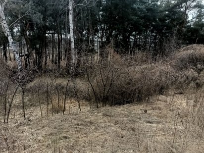 Дачный участок Химик-1 Суми