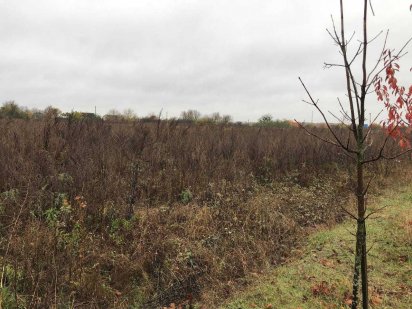 10 соток в районі Козацького проспекту Суми