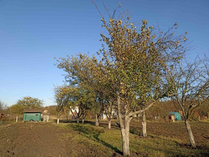 Продам садово-дачный участок на Тополянской - фото 1