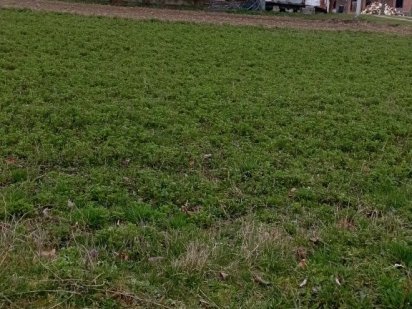 Земельна ділянка Чернівці