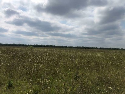 Продам агропідприємство Ровно