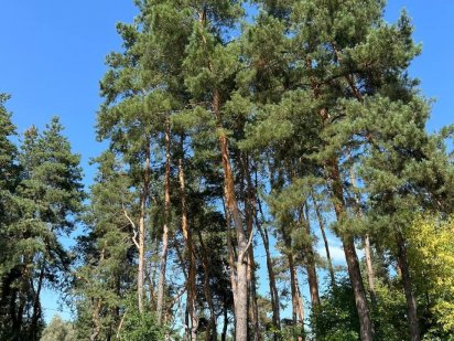 Продажа 10 соток на Крутом берегу Полтава