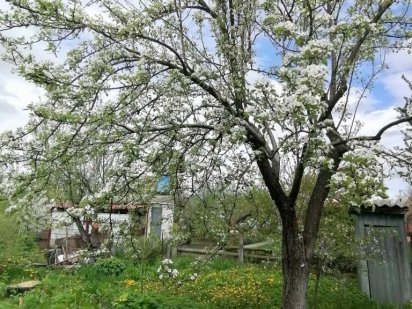 Земельна ділянка Полтава